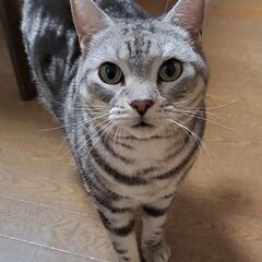 ありがとうございました。