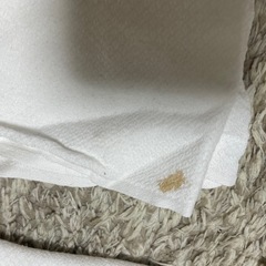 布おむつセットの画像