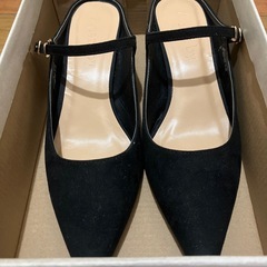 ミュールの画像