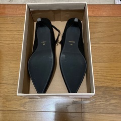 ミュールの画像