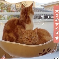 猫用ハンモック