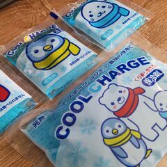 保冷剤（大１個、小３個）