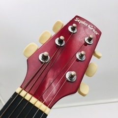【❗️✨初心者にも最適✨❗️】セピアクルー 🌟W-50-RDS 🌟アコースティックギター 🌟サンバーストカラーの画像
