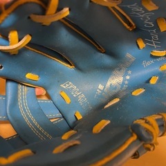   グローブ 子供用 regentの画像