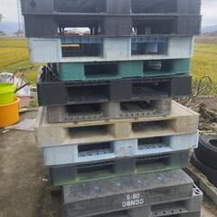 プラスチック パレット