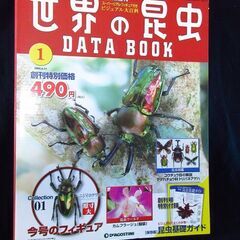 デアゴスティーニの創刊号：世界の昆虫の画像