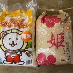 米 10kg 新米  