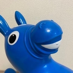 【値下げ】Rody ロディ　ブルーの画像
