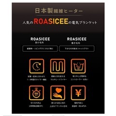 新品 電気毛布 掛け敷き兼用 ブランケット 120×60cm 炭素繊維ヒーター 両用 フランネル 自動電源オフ ダニ退治の画像