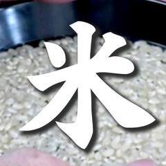 新米コシヒカリ