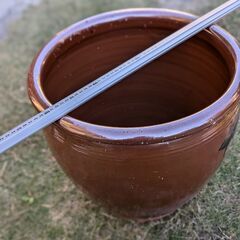 かめ大　お話中