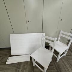 【売約済みです。】お渡しが３月以降になります！！m(__)m【訳...