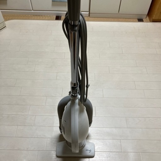 家電 生活家電 掃除機