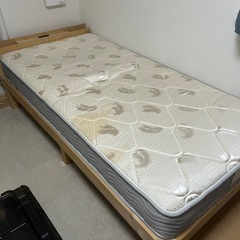 シングルベット