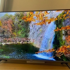 2022年製 Hisense 4K 43型 液晶テレビ 43A65G