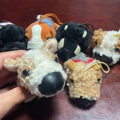 値下げ！可愛い鼻でかシリーズの画像