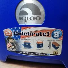 IGLOO☆クーラーボックスの画像