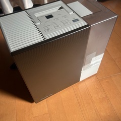 加湿器　dainichi plus