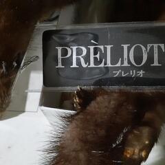 首に巻くミンクの画像