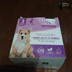 値下げしました！犬用トレーニング類まとめての画像
