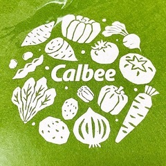 カルビー★エコフェルトミニバッグ 緑色★トートバッグ★懸賞 当選品 非売品 2024年の画像