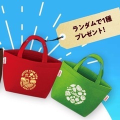 カルビー★エコフェルトミニバッグ 緑色★トートバッグ★懸賞 当選品 非売品 2024年の画像