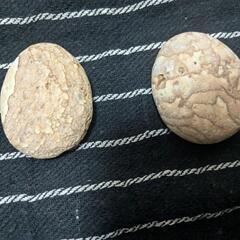 【国産天然石】姫川薬石中サイズ　1個の画像