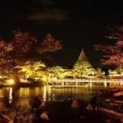 12/1まで！昭和記念公園のライトアップみにいきませんか！
