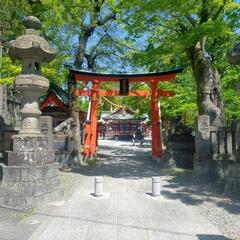 11月23(土)か24(日)神社行きませんか？？