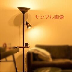A041🉐TRULO フロアライト スタンドライト LED対応❗...