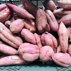 安納芋（さつまいも）受付ストップしてます
