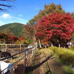 山友募集