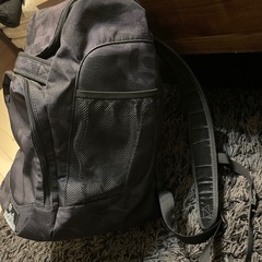 dbsスキーブーツリュックの画像