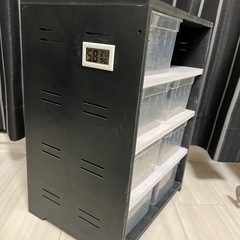 爬虫類飼育ケース レオパマンション の画像