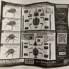 いきもの大図鑑アドバンス　マルスゾウカブトの画像