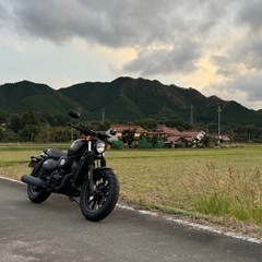 GV300S ボバー　バイク　オートバイの画像