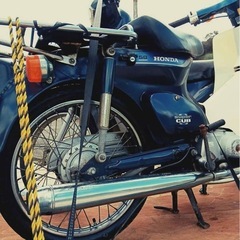 C50DX 　