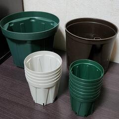 【11月末まで】スリット鉢セット 観葉植物 園芸グッズ 譲りますの画像