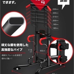 【強化版】PYKES PEAK 懸垂 懸垂マシン ぶら下がり健康器 「国内検品済み/ 2色」 懸垂器具 スミスマシン チンニング ディップスス 多機能 筋力 筋肉トレーニング器具 高さ6段 耐荷重150kgの画像