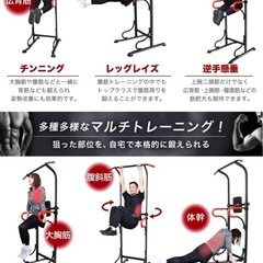 【強化版】PYKES PEAK 懸垂 懸垂マシン ぶら下がり健康器 「国内検品済み/ 2色」 懸垂器具 スミスマシン チンニング ディップスス 多機能 筋力 筋肉トレーニング器具 高さ6段 耐荷重150kgの画像