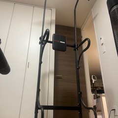 【強化版】PYKES PEAK 懸垂 懸垂マシン ぶら下がり健康...