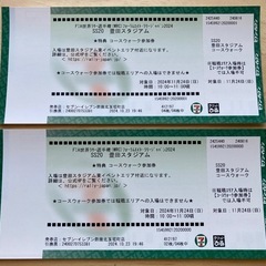 WRC Rally Japan 2024<観戦券>豊田スタジアム　2枚　定価30000円の画像