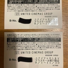 テラスモール松戸　映画ペアチケット【値下げ中】の画像