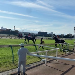 競馬場に行きませんか♪競馬仲間募集です〜初心者もこれからの方も大歓迎です😃 - 中野区