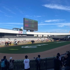 競馬場に行きませんか♪競馬仲間募集です〜初心者もこれからの方も大歓迎です😃 - 友達
