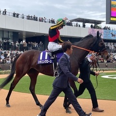 競馬場に行きませんか♪競馬仲間募集です〜初心者もこれからの方も大歓迎です😃 − 東京都