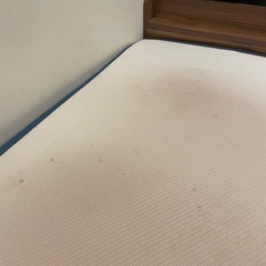 コアラマットレス　シングルの画像