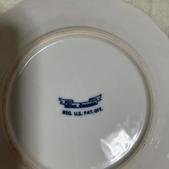ブルーダニューブ　プレートの画像