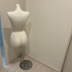 トルソーの画像