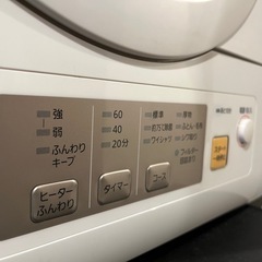 Panasonic 電気衣類乾燥機 NH-D603 の画像